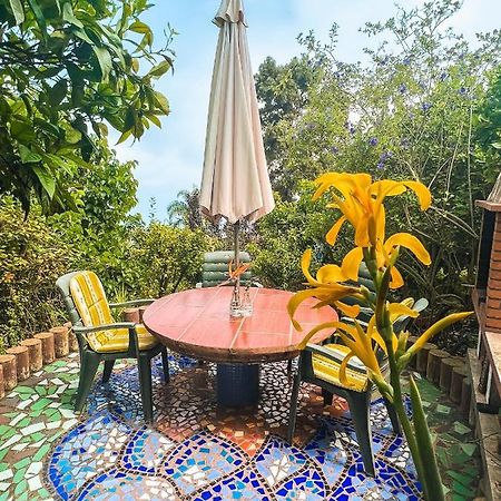 Canarian Cottage With Terrace Surrounded By Garden - Alisios Ла Оротава Екстериор снимка