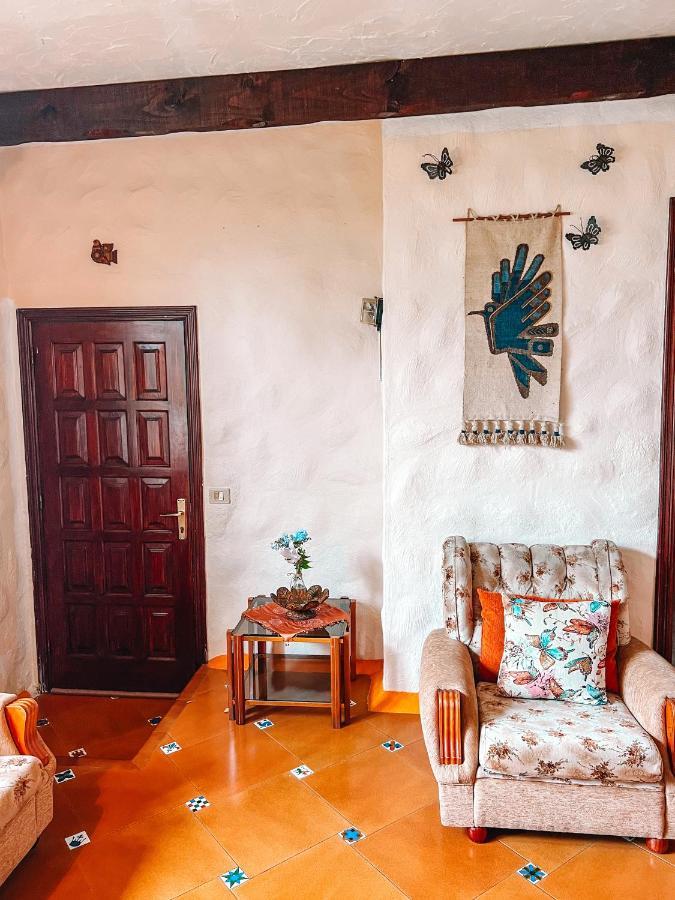 Canarian Cottage With Terrace Surrounded By Garden - Alisios Ла Оротава Екстериор снимка