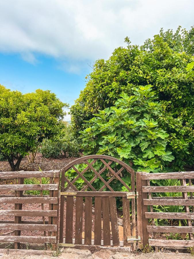 Canarian Cottage With Terrace Surrounded By Garden - Alisios Ла Оротава Екстериор снимка