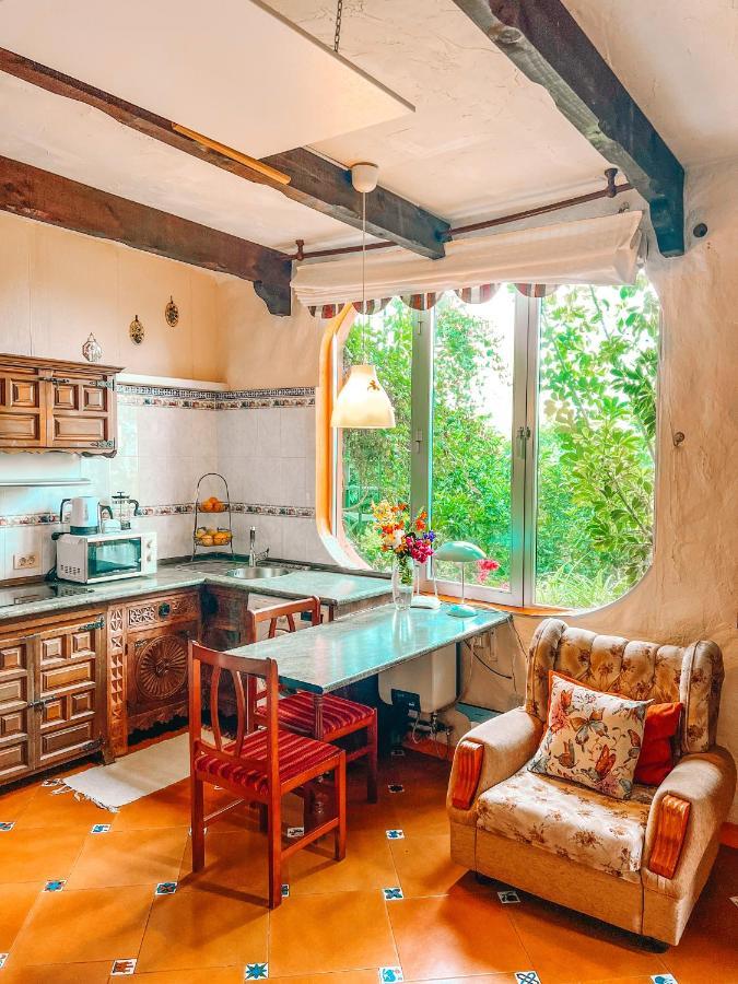 Canarian Cottage With Terrace Surrounded By Garden - Alisios Ла Оротава Екстериор снимка